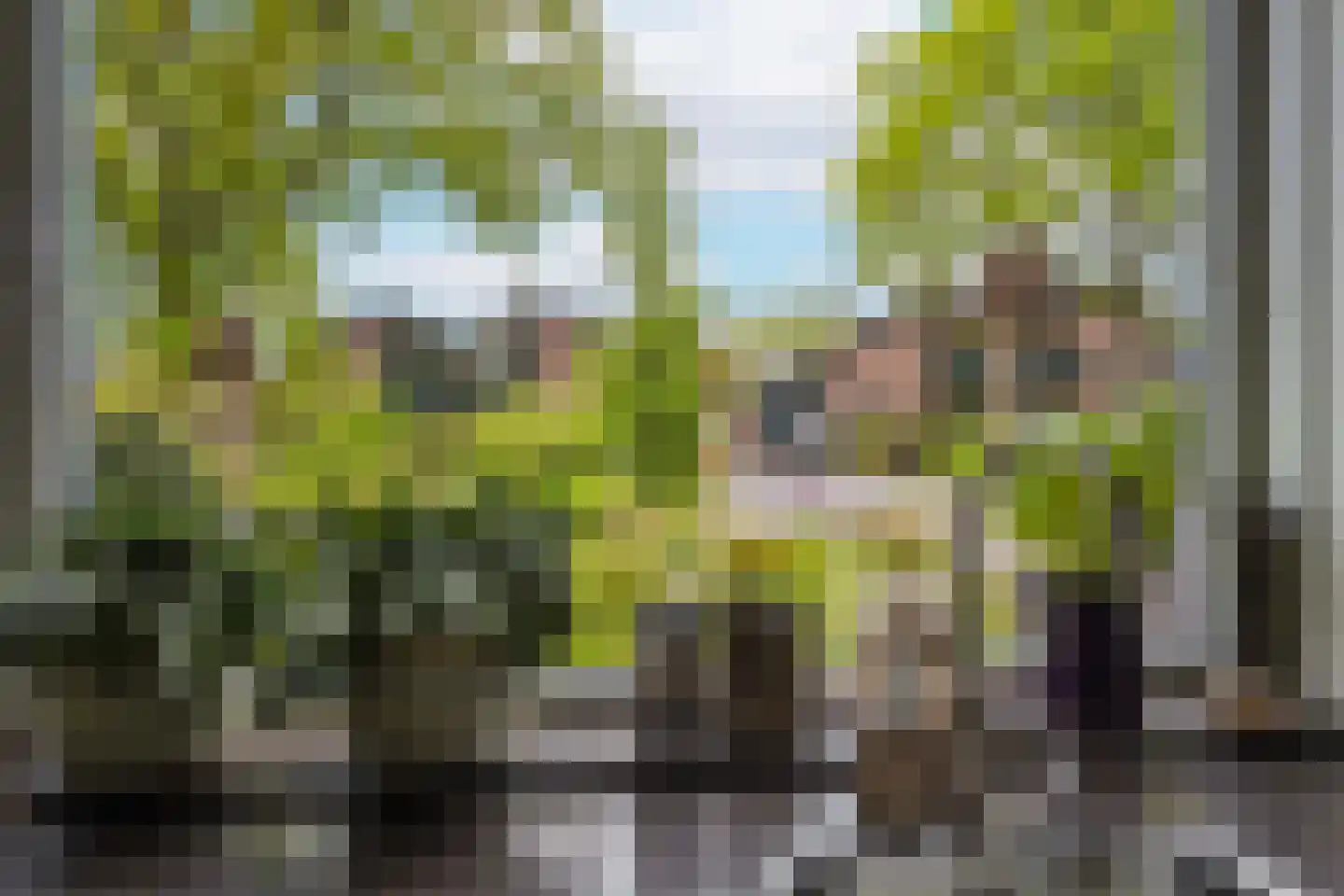 Albert Hahnweg 229 Lochem thumbnail 15