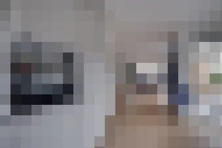Albert Hahnweg 30 Lochem thumbnail 10