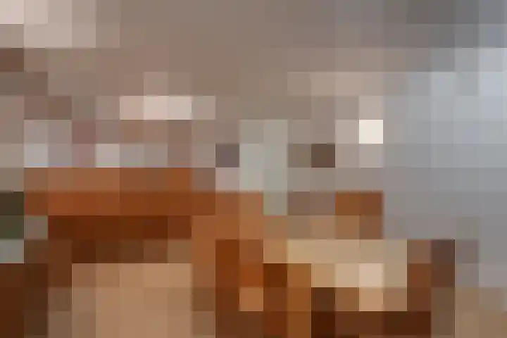 Albert Hahnweg 30 Lochem thumbnail 19