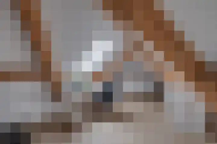 Albert Hahnweg 30 Lochem thumbnail 22