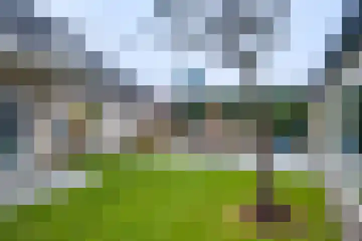 Albert Hahnweg 30 Lochem thumbnail 32