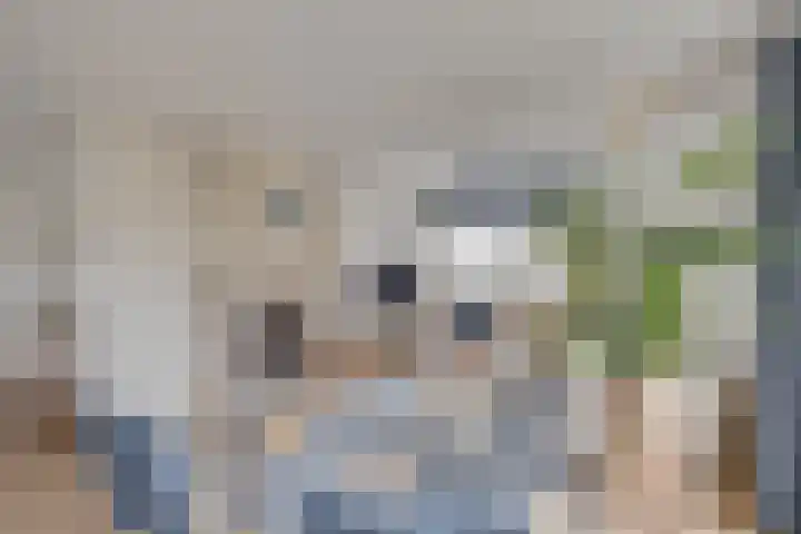 Albert Hahnweg 30 Lochem thumbnail 4