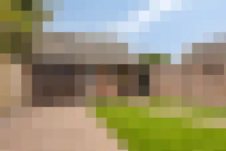 Albert Hahnweg 41 Lochem thumbnail 27