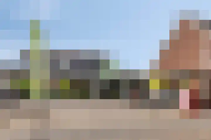 Albert Hahnweg 41 Lochem thumbnail 33