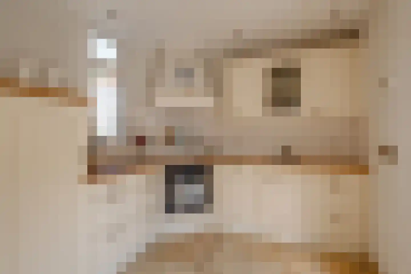 Albert Hahnweg 49 Lochem thumbnail 10