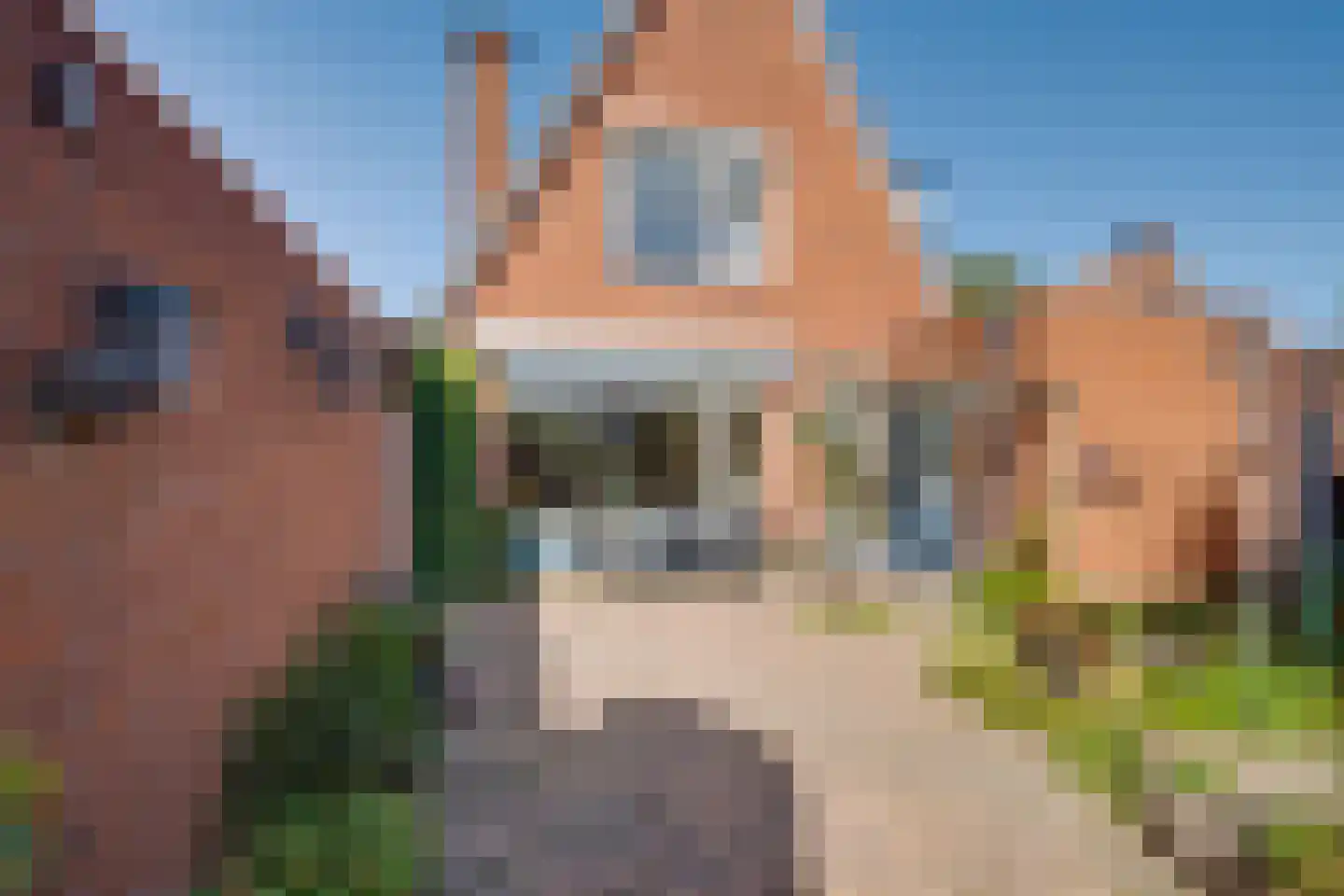 Albert Hahnweg 49 Lochem thumbnail 21