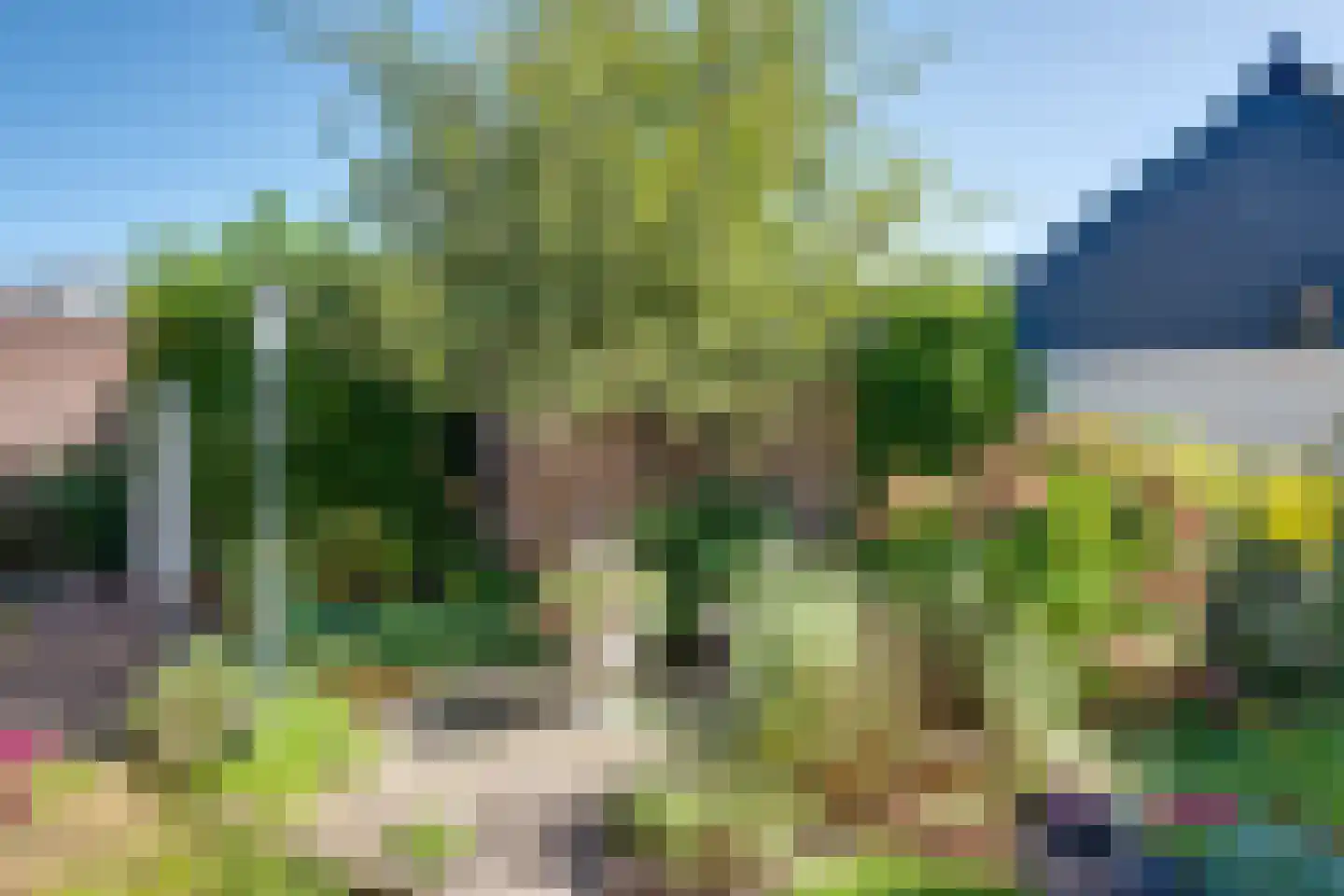 Albert Hahnweg 49 Lochem thumbnail 4