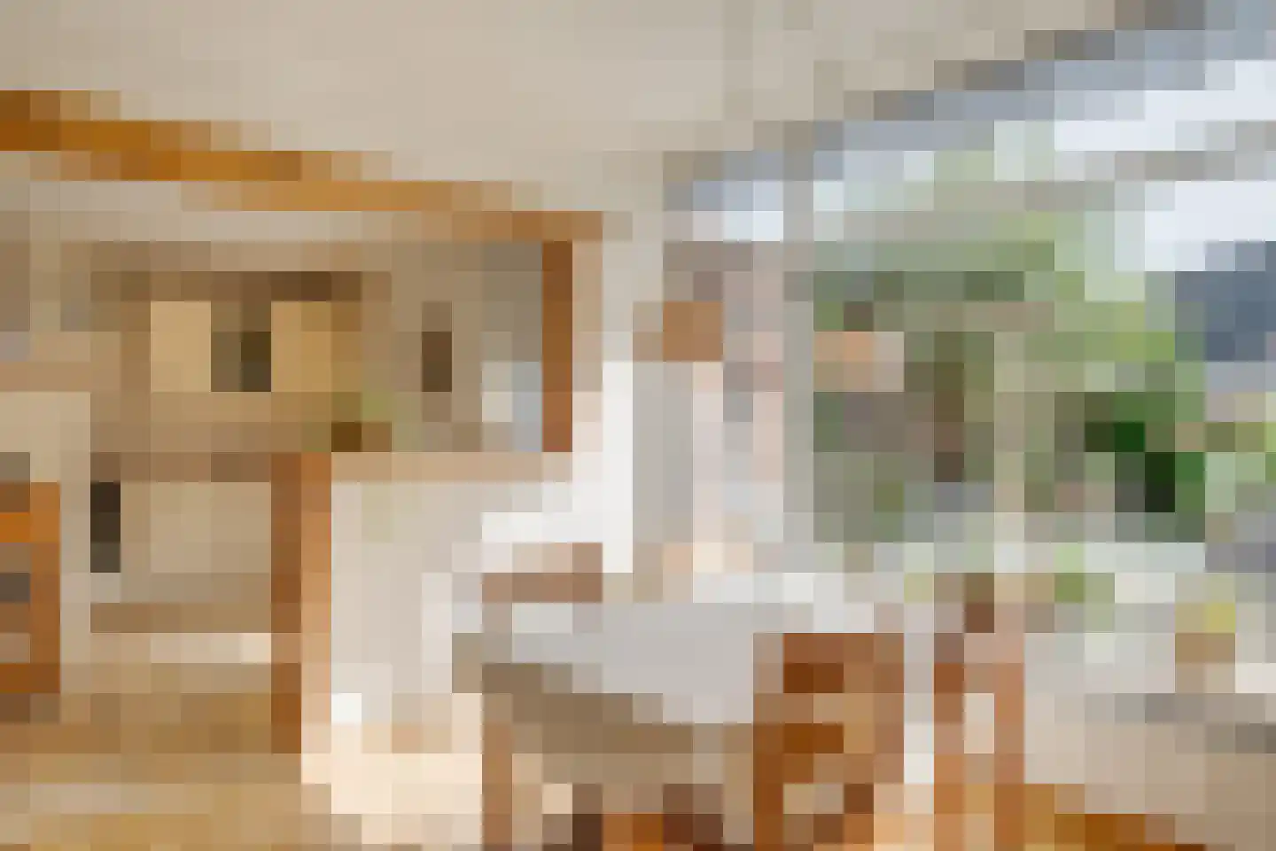 Albert Hahnweg 49 Lochem thumbnail 9