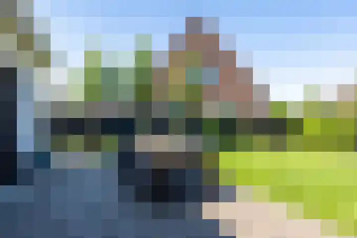 Albert Hahnweg 56 Lochem thumbnail 26