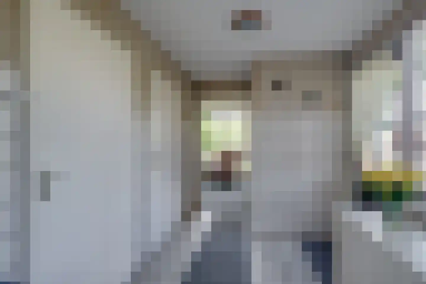 Albert Hahnweg 86 Lochem thumbnail 10