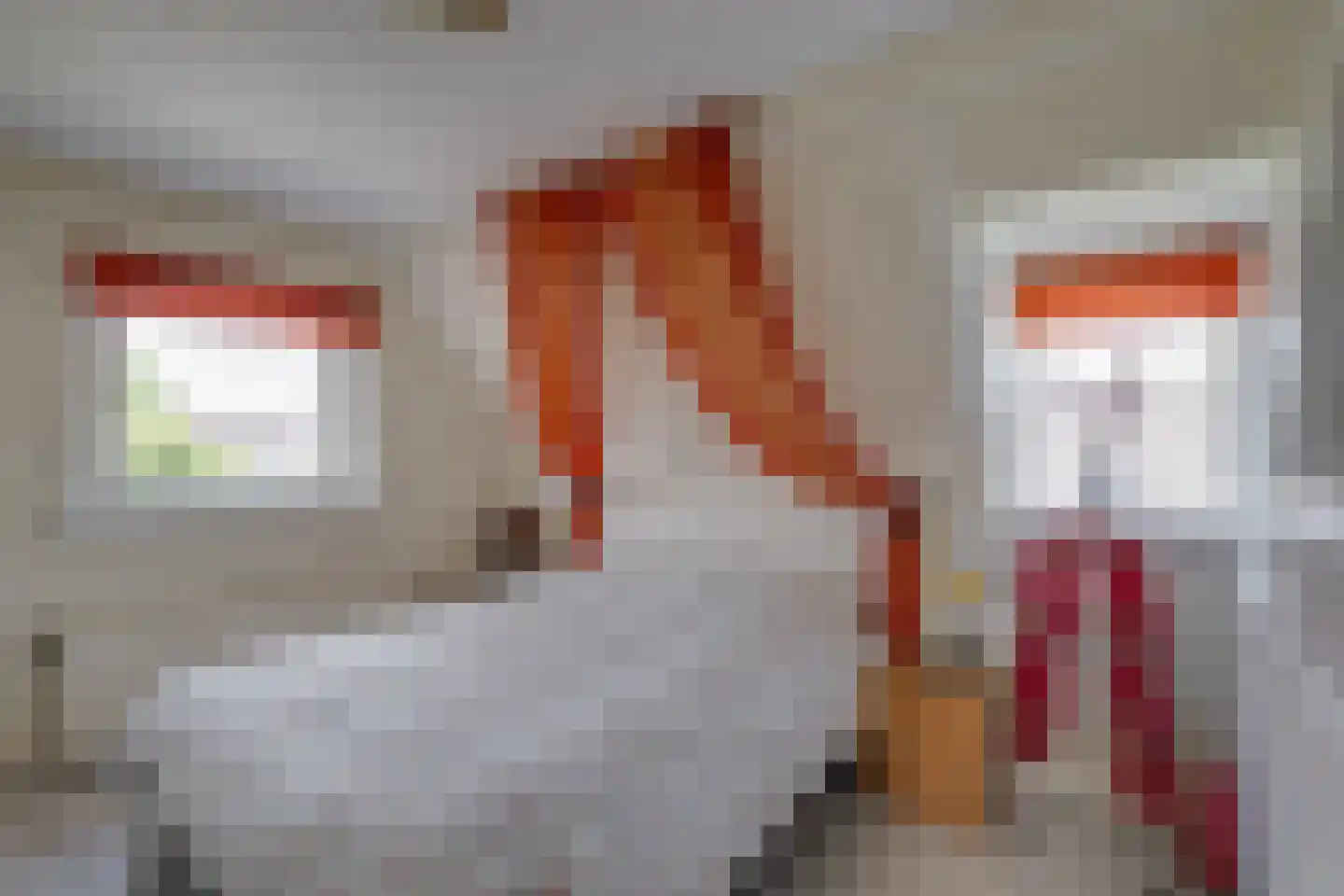 Albert Hahnweg 86 Lochem thumbnail 15