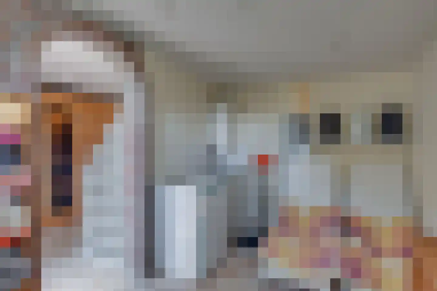 Albert Hahnweg 86 Lochem thumbnail 20