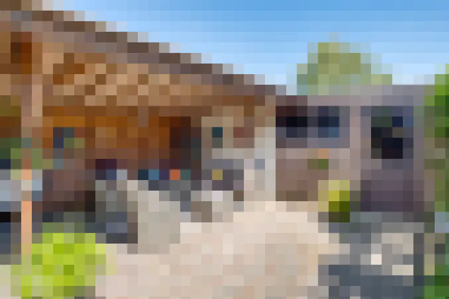 Albert Hahnweg 86 Lochem thumbnail 24