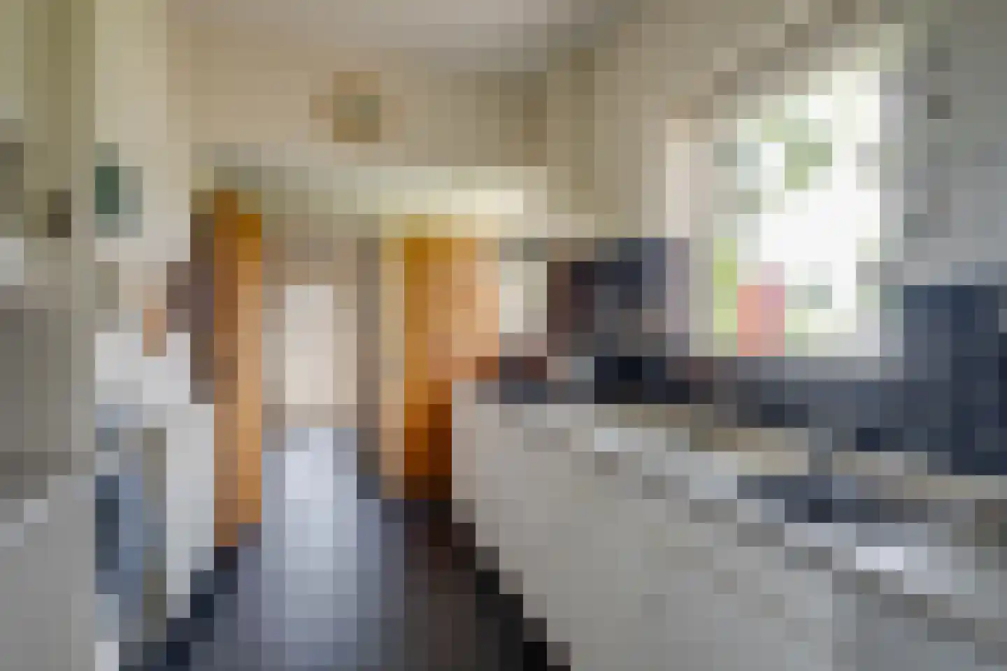 Albert Hahnweg 86 Lochem thumbnail 8