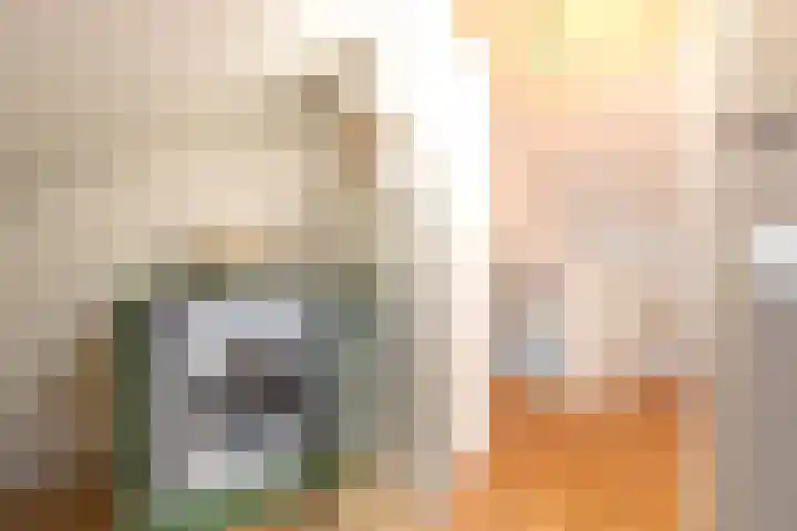 Albert Harkemaweg 39 Aduard thumbnail 35