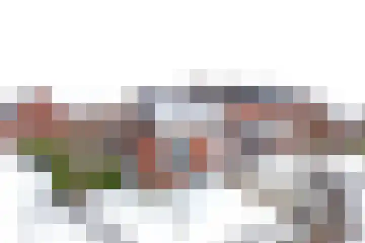 Albert Harkemaweg 39 Aduard thumbnail 39