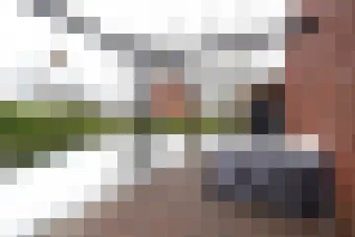 Albert Harkemaweg 39 Aduard thumbnail 4