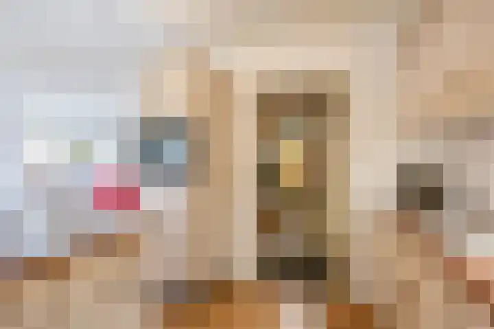 Albert Harkemaweg 49 Aduard thumbnail 20