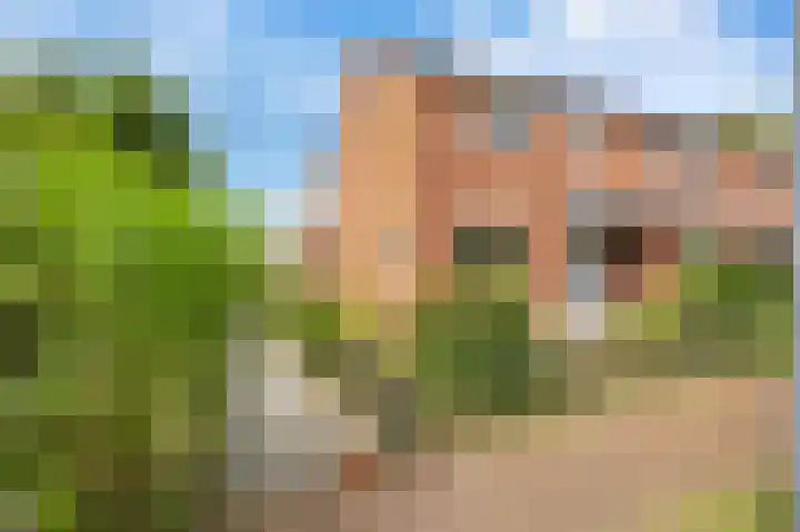 Albert Harkemaweg 49 Aduard thumbnail 4