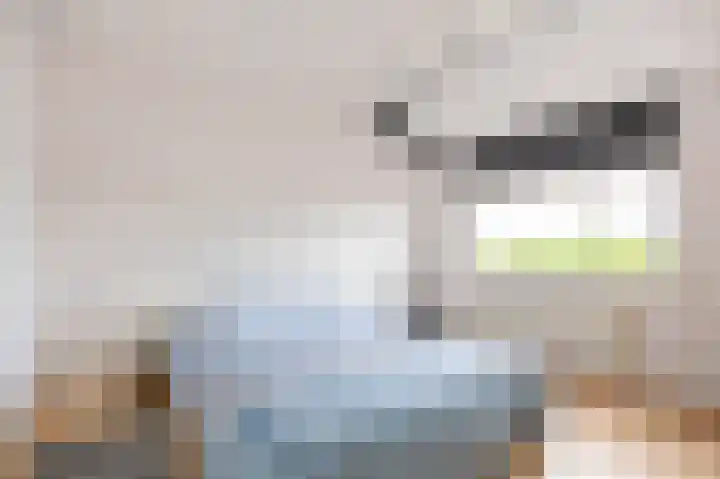Albert Harkemaweg 49 Aduard thumbnail 41