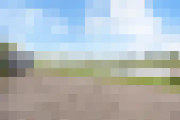 Albert Harkemaweg 49 Aduard thumbnail 56