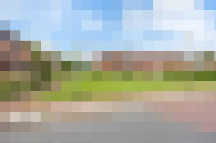 Albert Harkemaweg 49 Aduard thumbnail 7