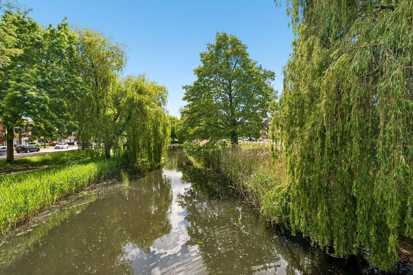 Albert Helmanhof 59 Almere thumbnail 56