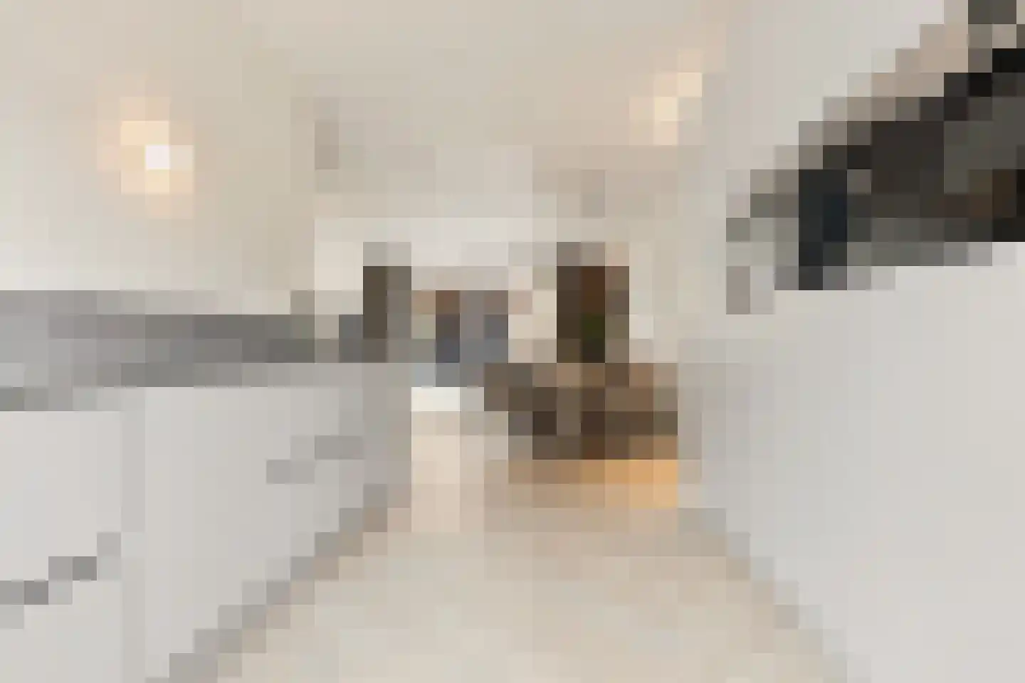 Albert Huismanpad 160 Zaandam thumbnail 7