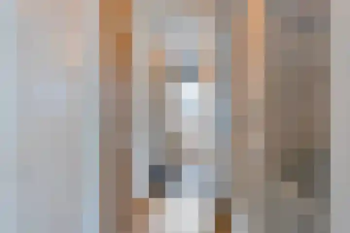 Albert Johan Gerardsstraat 77 Deventer thumbnail 19