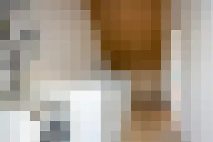 Albert Johan Gerardsstraat 77 Deventer thumbnail 30