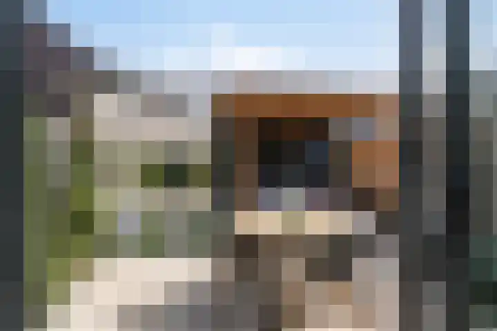 Albert Johan Gerardsstraat 77 Deventer thumbnail 34