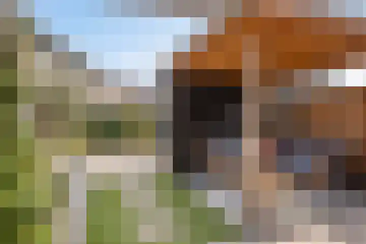 Albert Johan Gerardsstraat 77 Deventer thumbnail 35