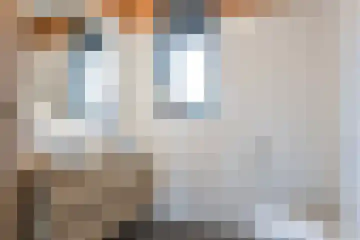Albert Johan Gerardsstraat 77 Deventer thumbnail 4