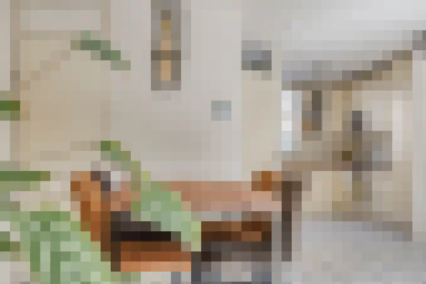 Albert John Luthulistraat 23 Purmerend thumbnail 13