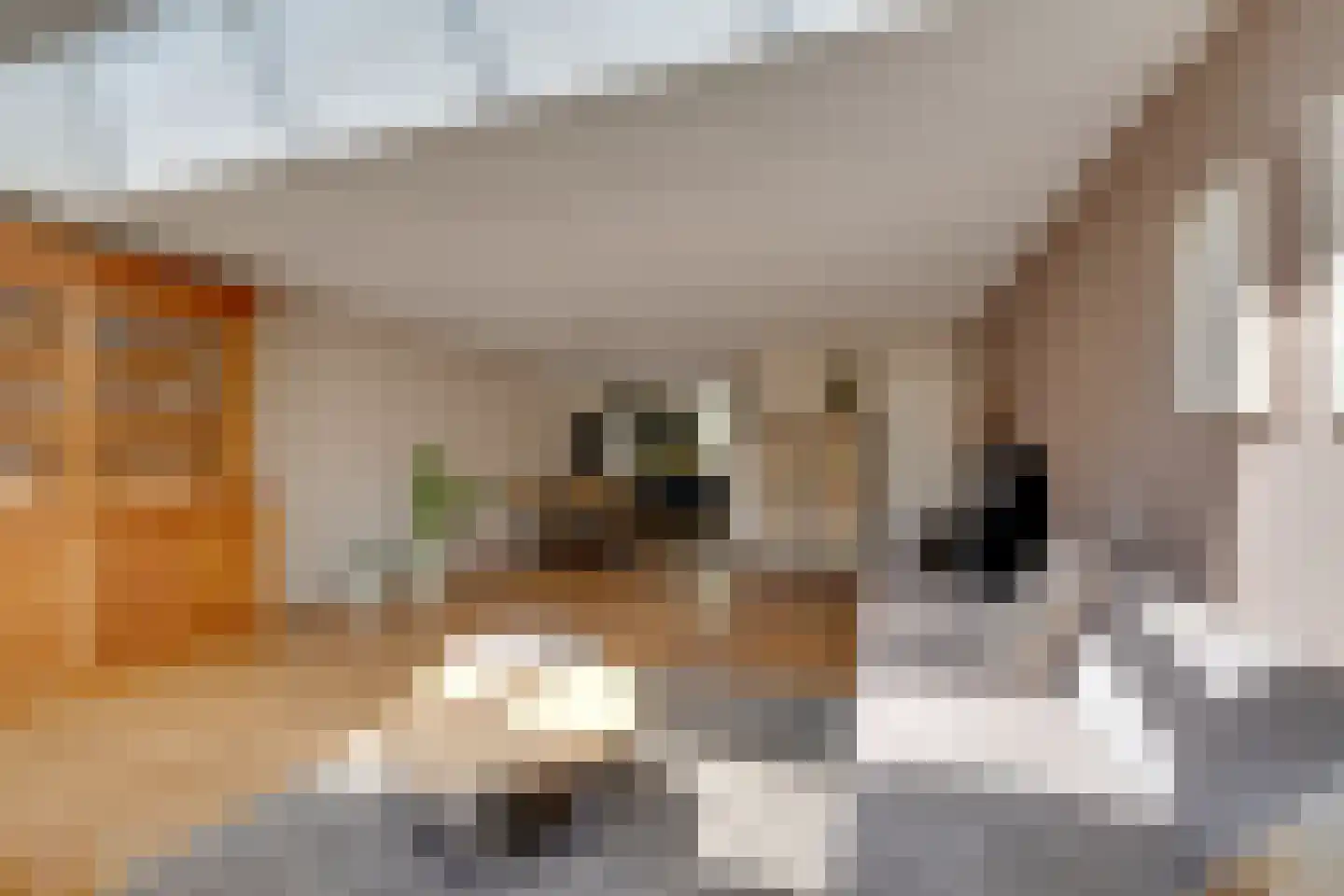 Albert John Luthulistraat 29 Purmerend thumbnail 12