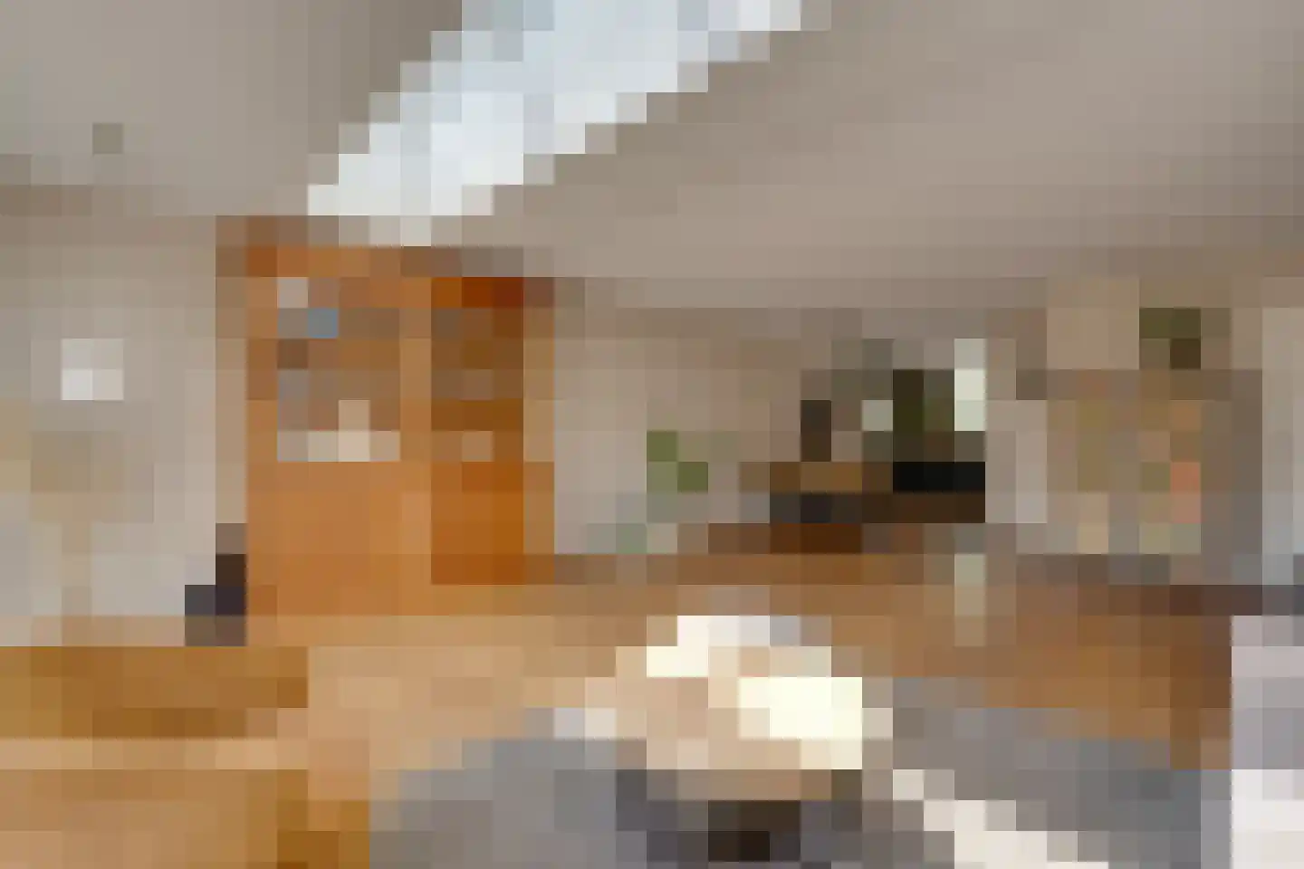 Albert John Luthulistraat 29 Purmerend thumbnail 13