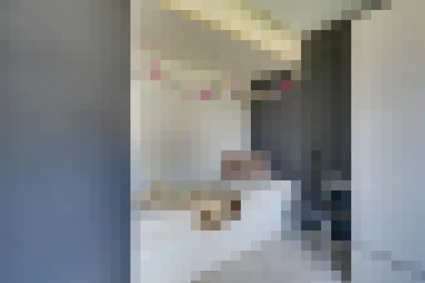 Albert John Luthulistraat 29 Purmerend thumbnail 34
