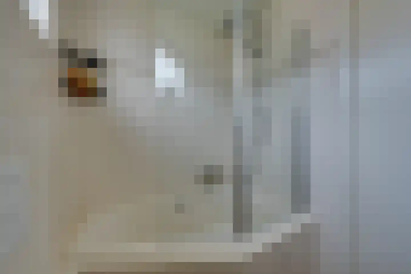 Albert John Luthulistraat 29 Purmerend thumbnail 39