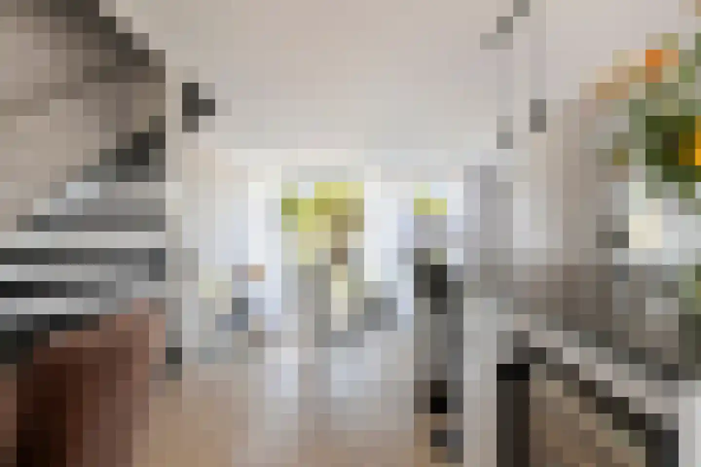 Albert John Luthulistraat 38 Purmerend thumbnail 15