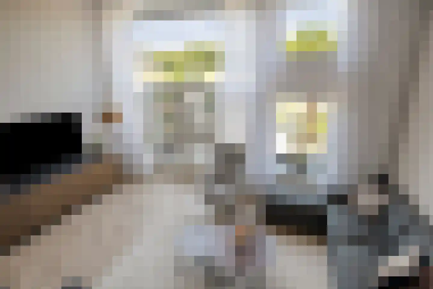 Albert John Luthulistraat 38 Purmerend thumbnail 20