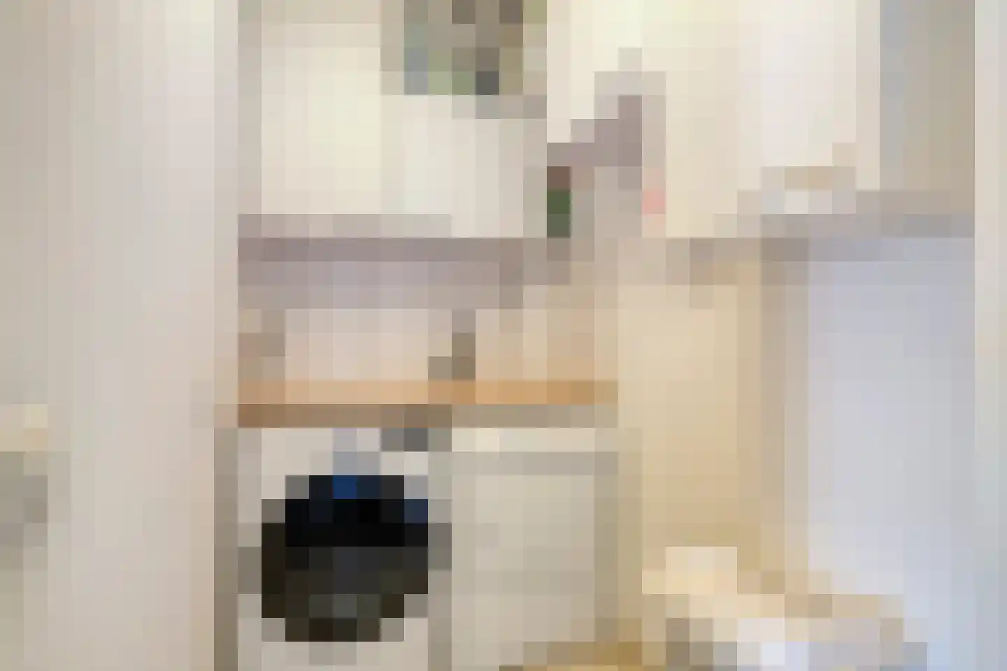 Albert John Luthulistraat 38 Purmerend thumbnail 27
