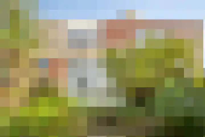 Albert John Luthulistraat 94 Purmerend thumbnail 21