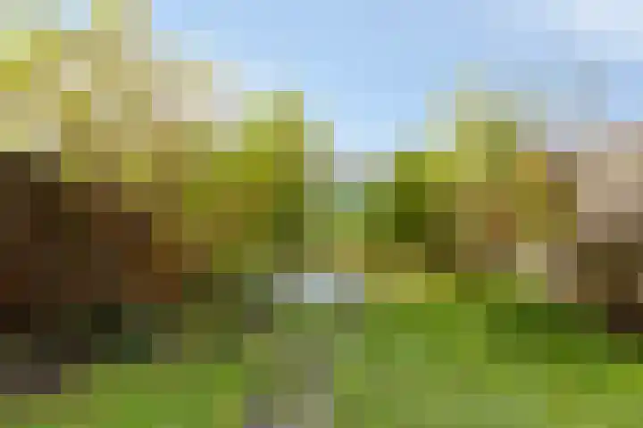 Albert John Luthulistraat 94 Purmerend thumbnail 5