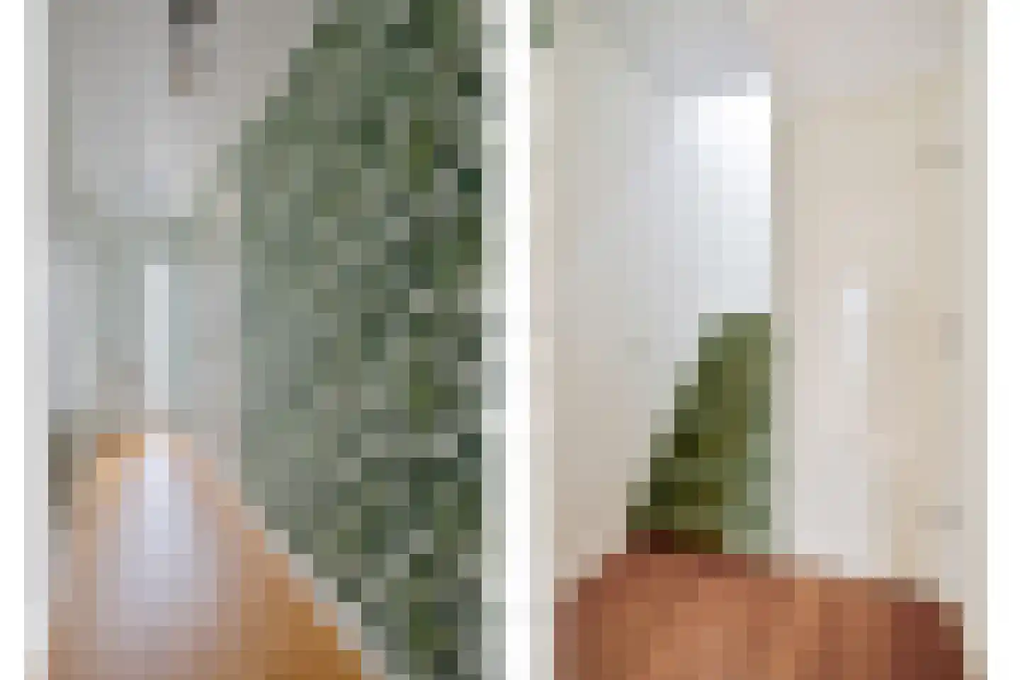 Albert Kleijnstraat 3 Tilburg thumbnail 9