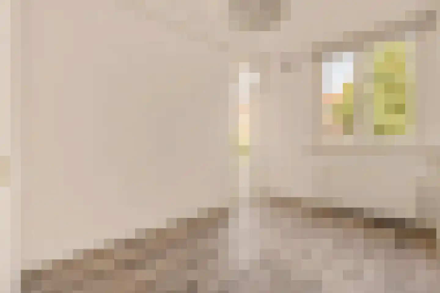 Albert Luthulistraat 12 D Amsterdam thumbnail 13