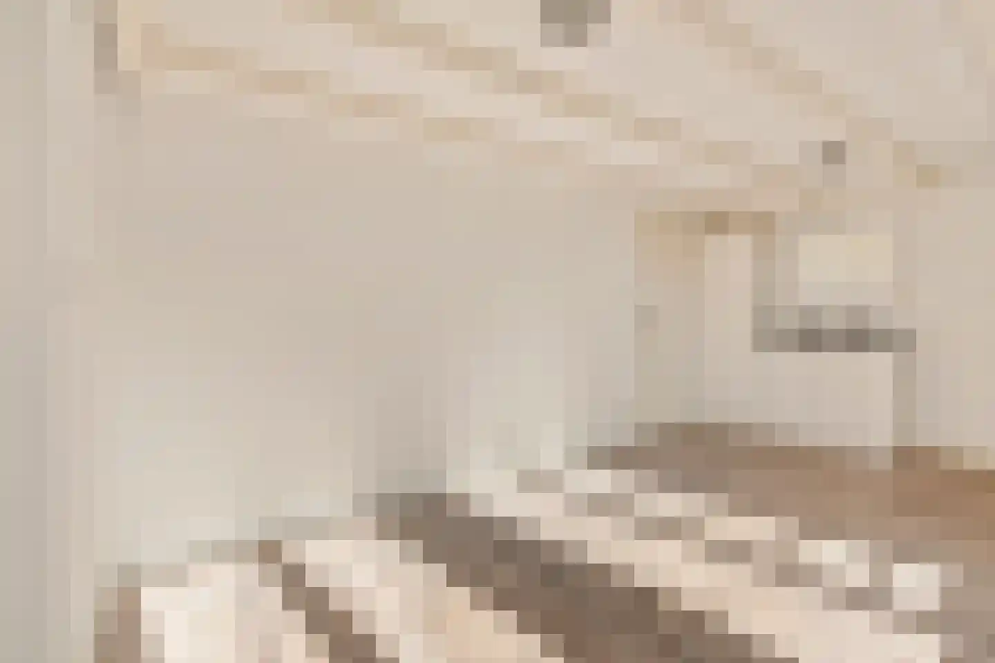 Albert Luthulistraat 12 D Amsterdam thumbnail 9
