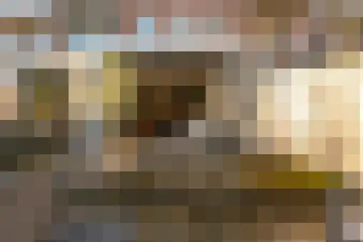 Albert Luthulistraat 15 A Amsterdam thumbnail 12