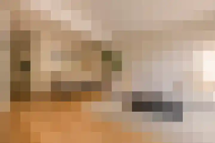 Albert Luthulistraat 15 A Amsterdam thumbnail 14
