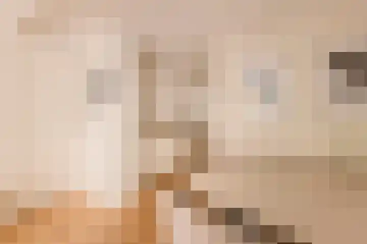 Albert Luthulistraat 15 A Amsterdam thumbnail 15