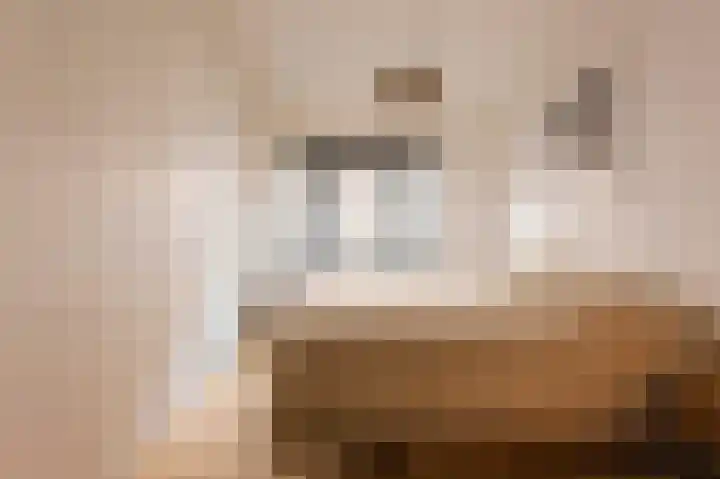 Albert Luthulistraat 15 A Amsterdam thumbnail 17